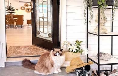 5620 Blue Harbor Dr unit 319, New Port Richey, FL 34653 - photo 1