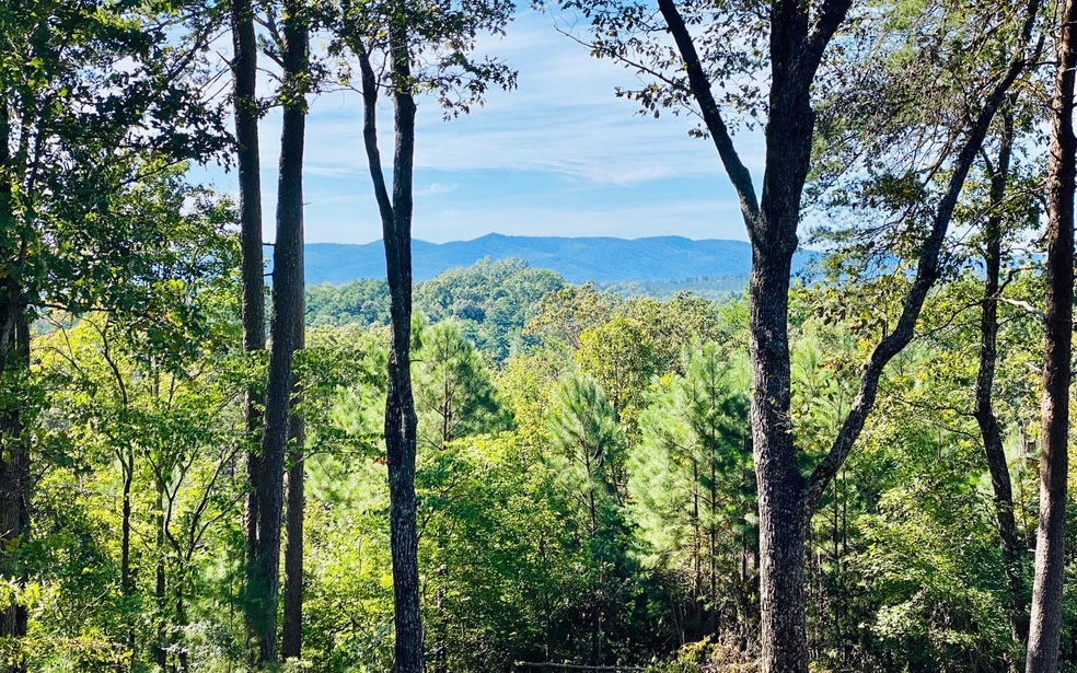 0 Fugue Dr unit 292932, Ellijay, GA 30540 - photo 1