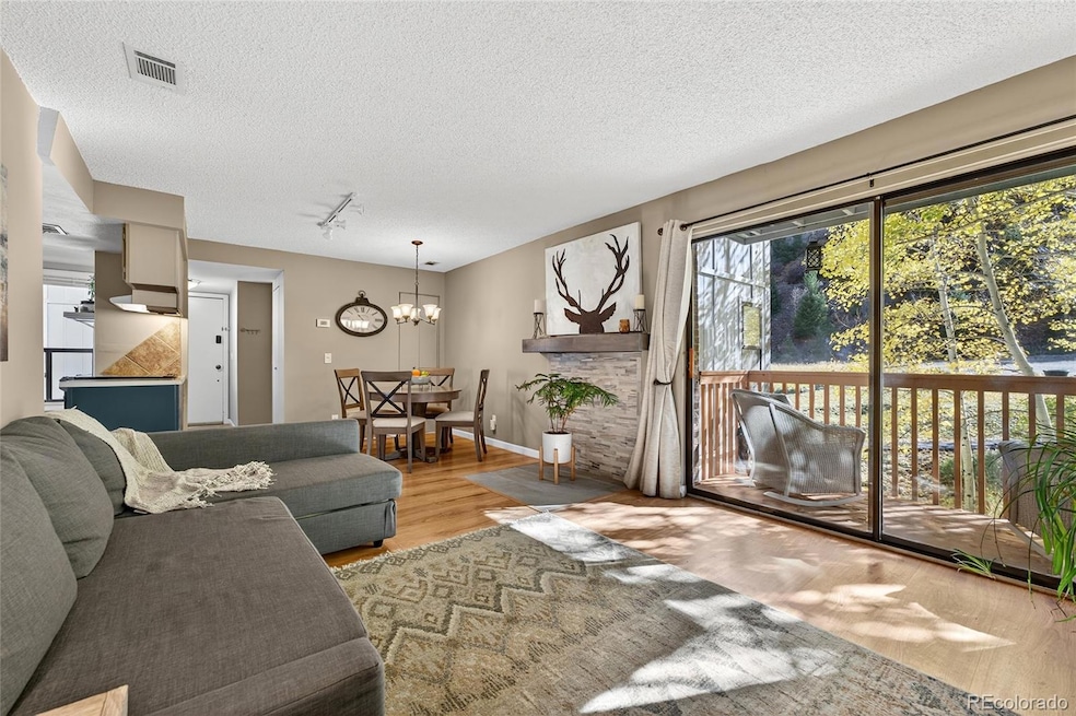 1901 Clear Creek Dr unit B-204, Georgetown, CO 80444 - photo 1