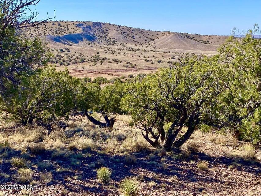TBD Co Rd 5062 Lot 1 3 53 Acres --, Concho, AZ 85924 - photo 1