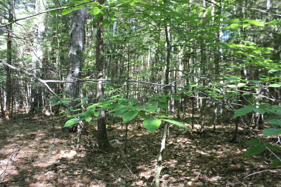 0 Ivy Cir unit 1239259, Limerick, ME 04048 - photo 1