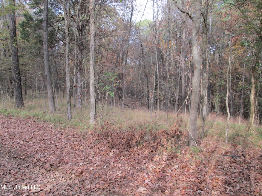 Highway 51 Land