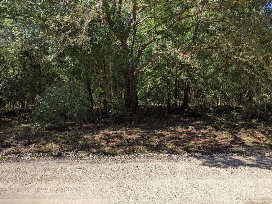 138 E Brandon St, Hernando, FL 34442 - photo 1