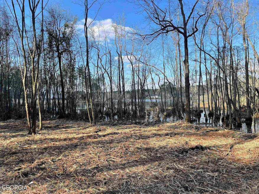 0 Southlake Dr, Moultrie, GA 31768 - photo 1