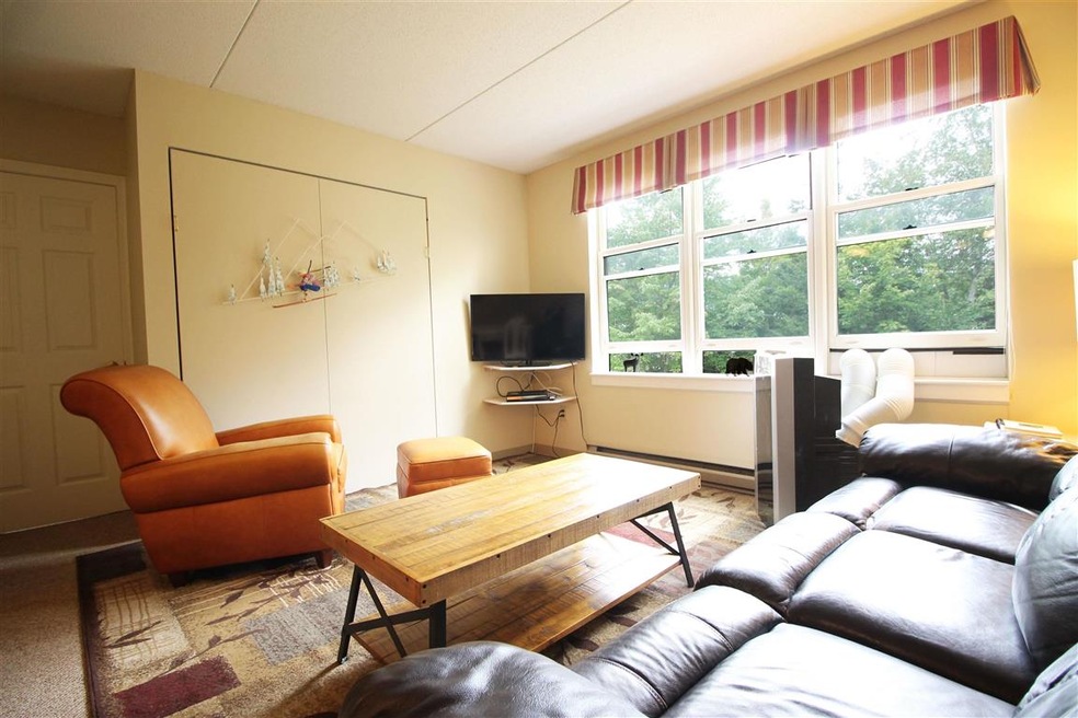 28 Packard Rd S unit 316, Waterville Valley, NH 03215 - photo 1