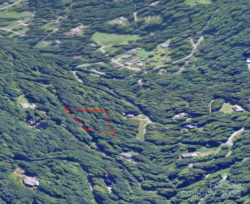 1 Green Ridge Falls Rd, Barnardsville, NC 28709 - photo 1