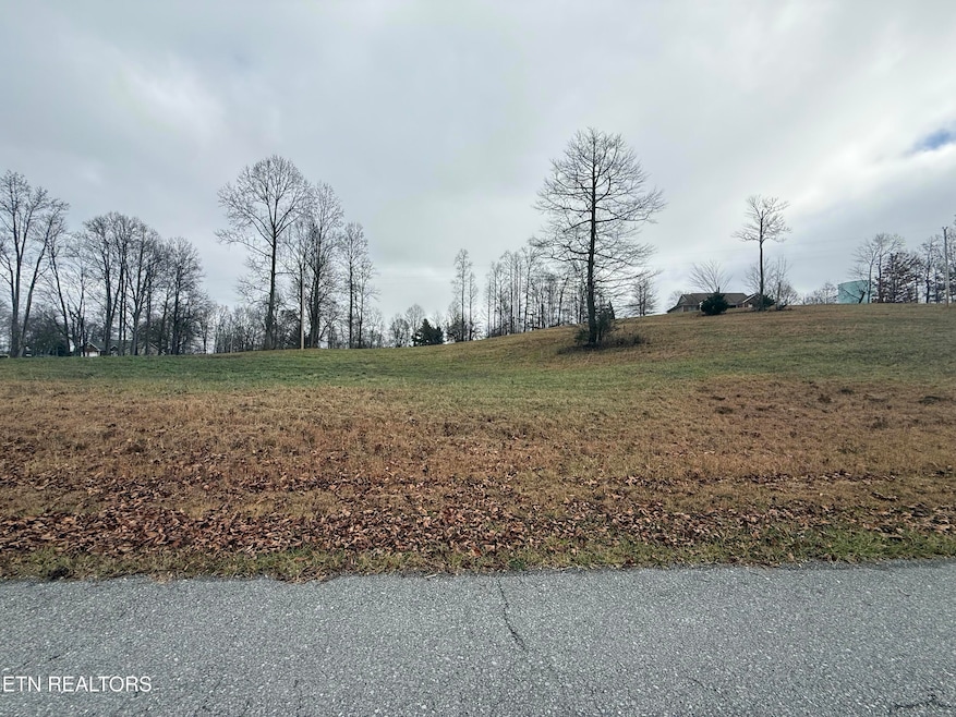 Lot #29 Oak Point Dr, Jonesville, VA 24263 - photo 1