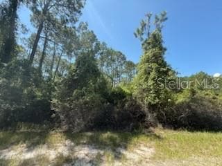 337 Palm Way, Georgetown Cove, FL 32139 - photo 1
