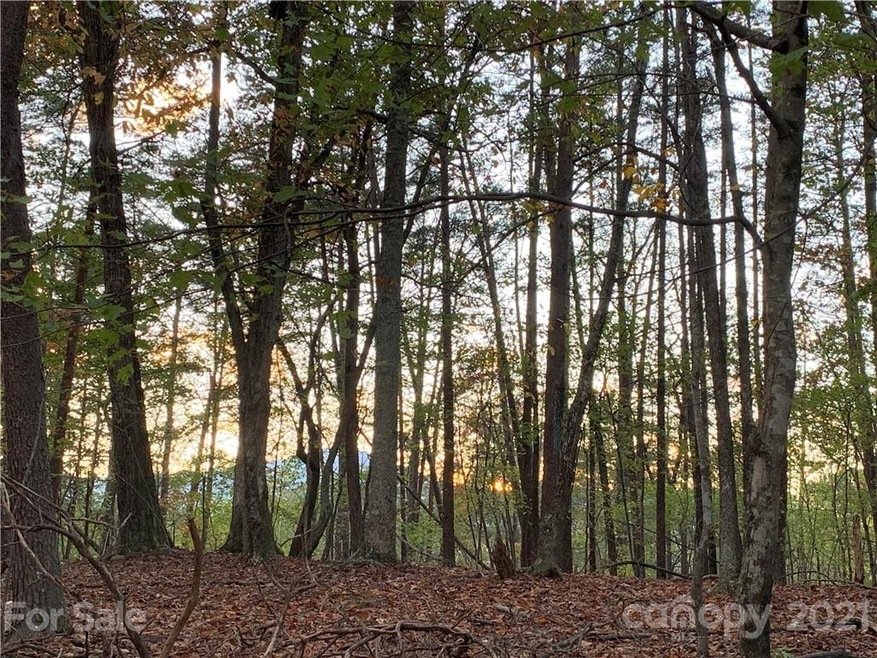 30 Granny Smith Ln unit 30, Lake Lure, NC 28746 - photo 1