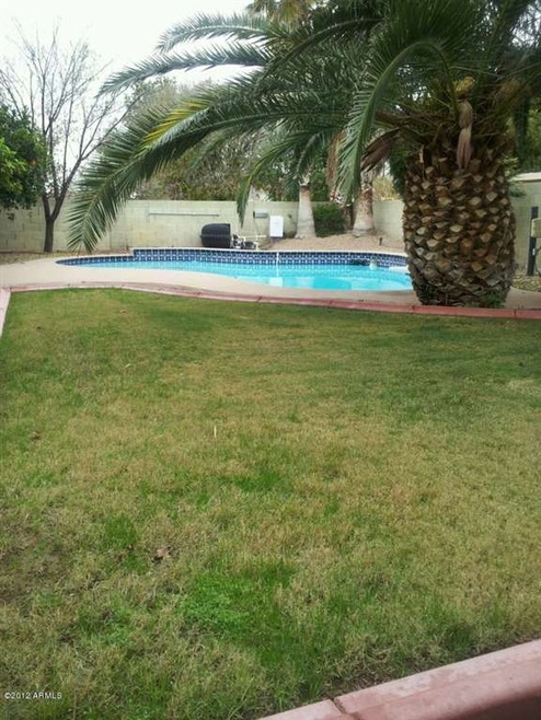 back yard