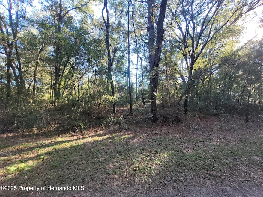 0 SW 22nd Place unit 2256829, Ocala, FL 34481 - photo 1