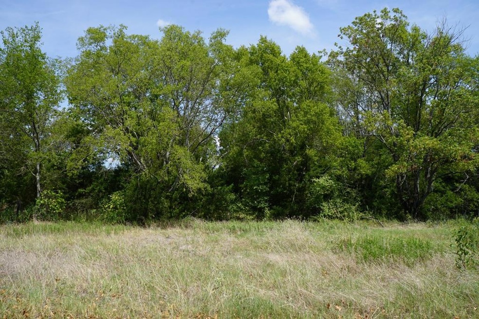 01 Cr 1200, Crossroads, TX 75148 - photo 1