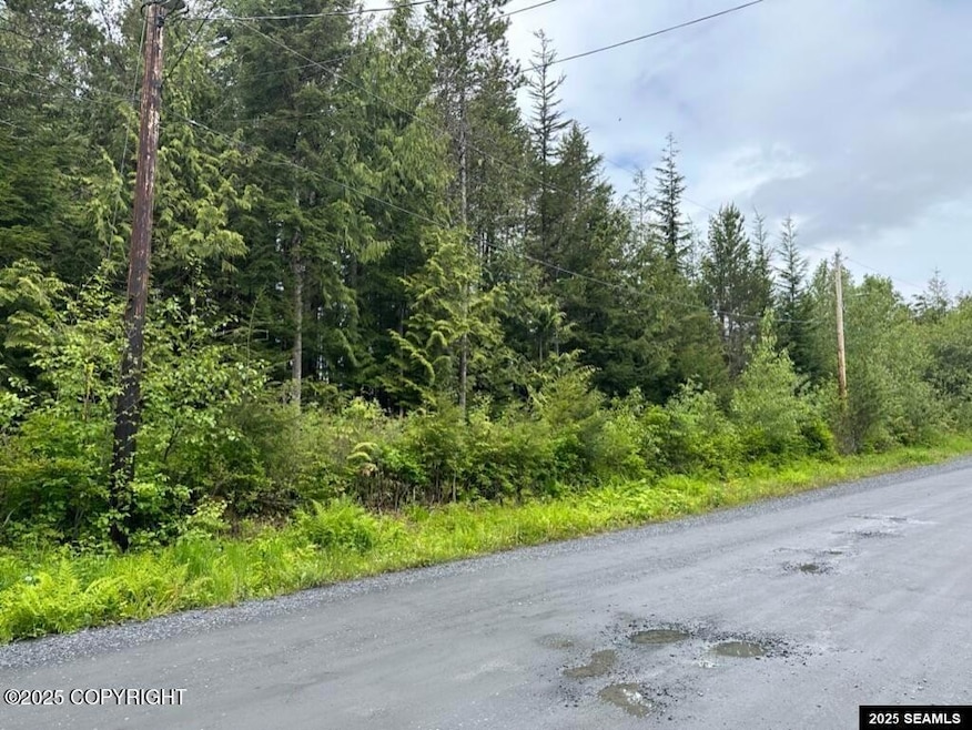 612 Council Dr, Wrangell, AK 99929 - photo 1