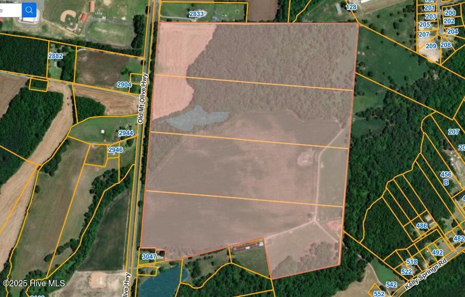 1 Old Mount Olive Hwy, Mount Olive, NC 28365 - photo 1