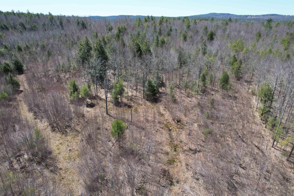 Lot 64 S Barnstead Rd unit 64, Barnstead, NH 03218 - photo 1