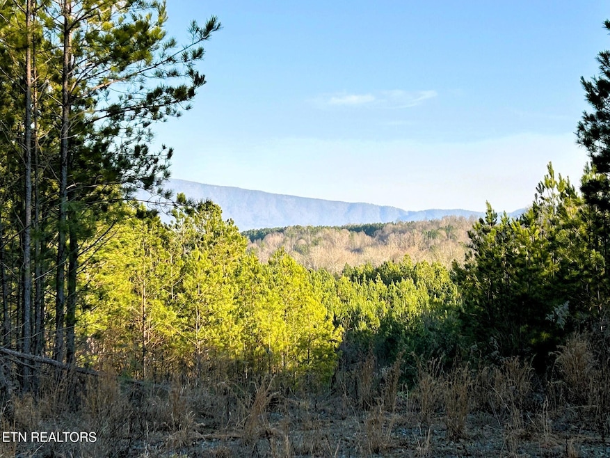 Views from the homesite