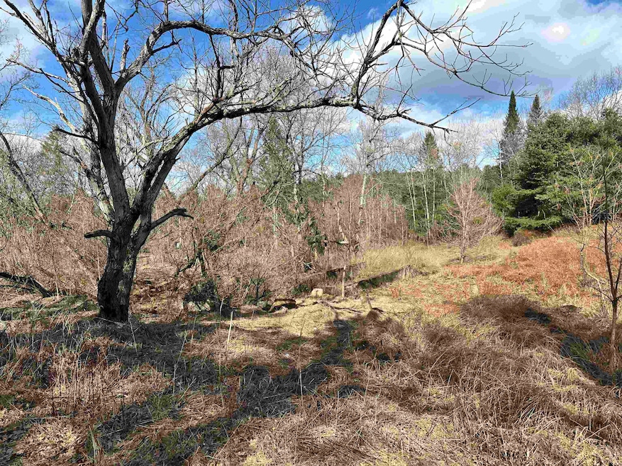 0 Hodge Hill Rd unit 23, Lisbon, NH 03585 - photo 1