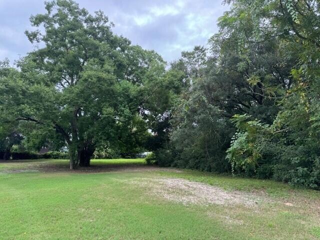 Back of Lot
