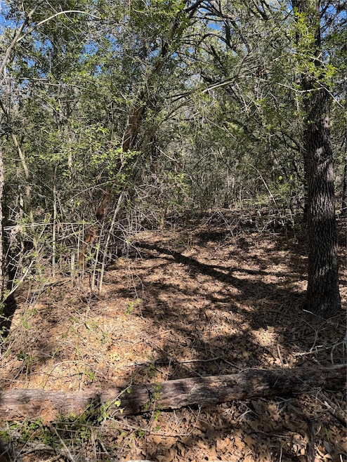 Lot 195 Kaelepulu Dr, Bastrop, TX 78602 - photo 1