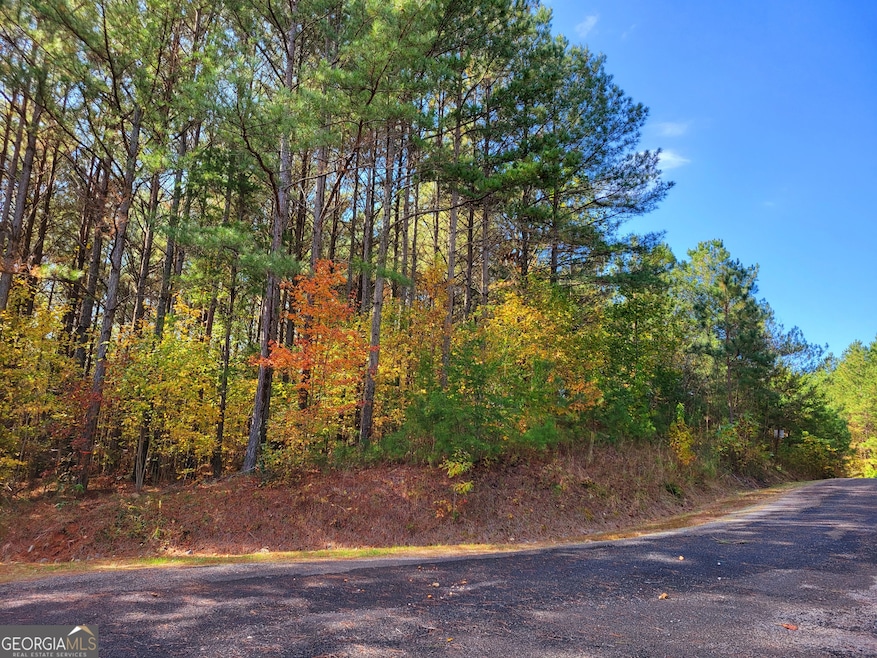LOT 7 Ridge Top Dr unit 7, Ellijay, GA 30536 - photo 1