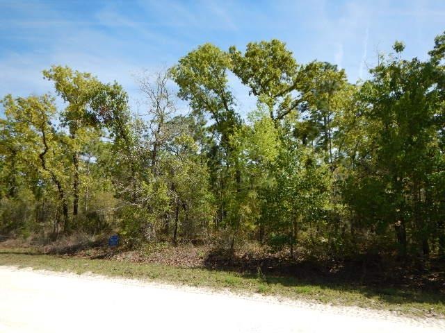 0 Post Oak Rd unit 774760, Perry, FL 32348 - photo 1