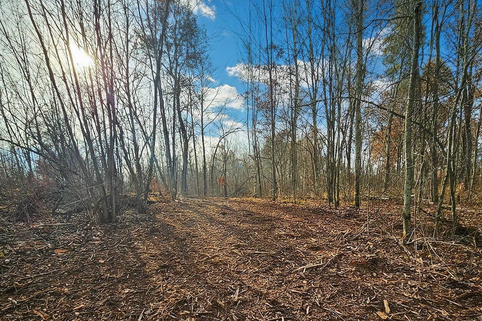 Your Northwoods retreat begins here