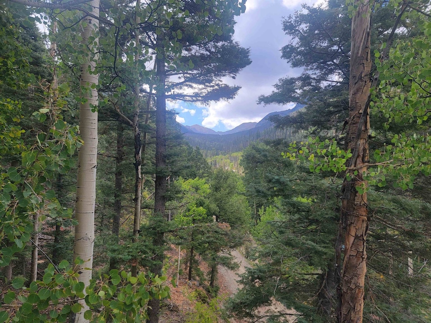 15 Coyote Ln, Taos Ski Valley, NM 87525 - photo 1