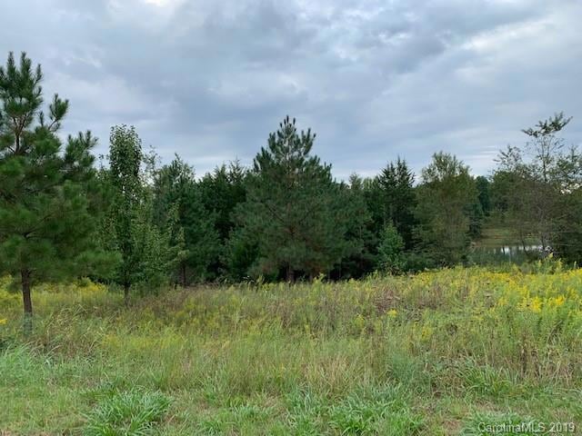 37 Luther Dr unit 37, Ironton, NC 28080 - photo 1