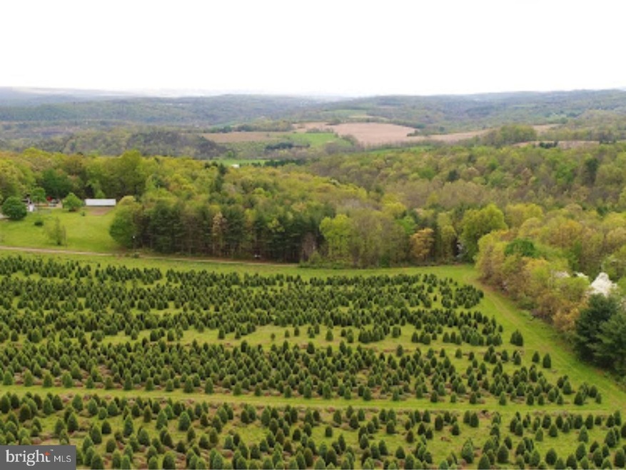 0 Sculps Hill Rd unit 1000282802, Auburn, PA 17922 - photo 1