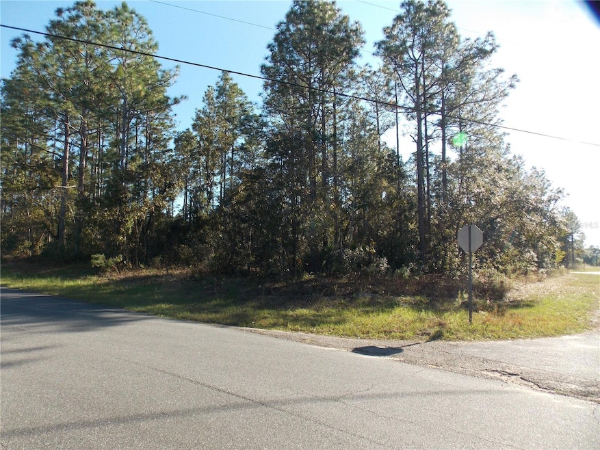 9432 N Cherry Lake Dr, Citrus Springs, FL 34433 - photo 1