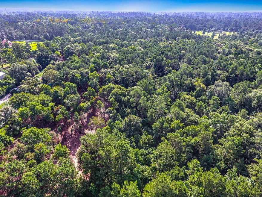 28400 Sweetgum Rd, Magnolia, TX 77354 - photo 1