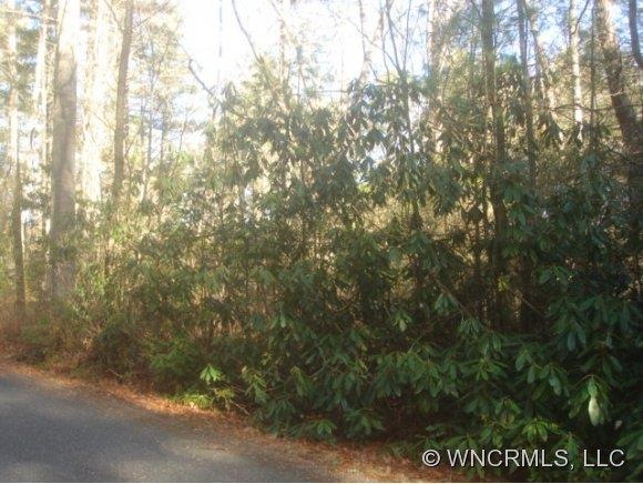 Warbler Lane lot