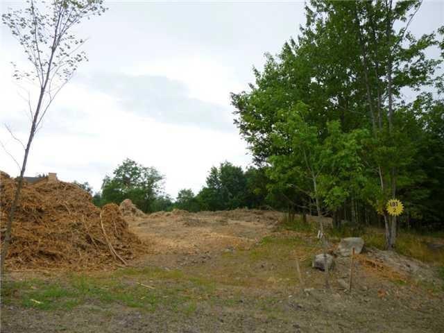 0 Rachel Dr unit 550382, Chester Town, NY 10918 - photo 1