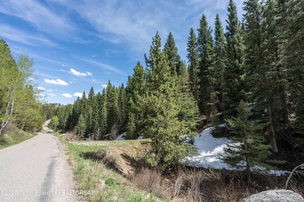 6600Paintbrush_JGPhoto-1