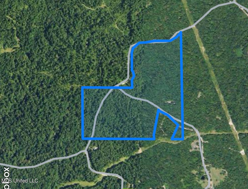 hunting tract