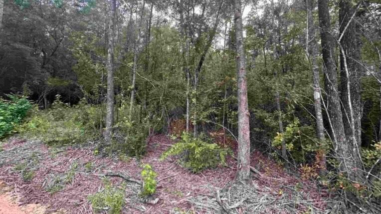 000 Bailly Rd, East Milton, FL 32583 - photo 1