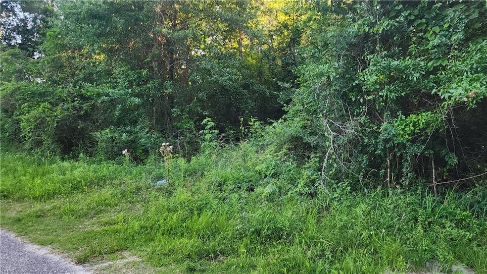 0 N Audubon St, Slidell, LA 70460 - photo 1