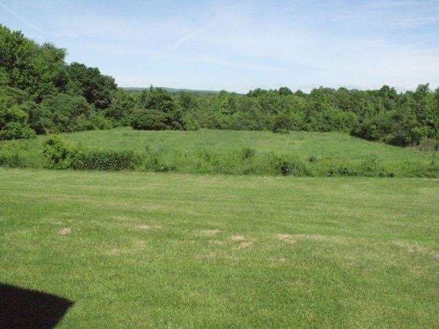 596 Eastline Rd, Ballston Spa, NY 12020 - photo 1