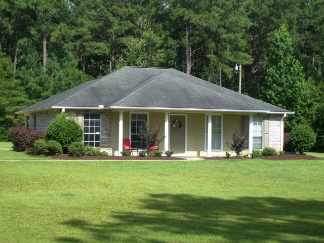 Main View