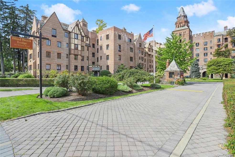 Blind Brook Lodge unit G11, Rye, NY 10580 - photo 1