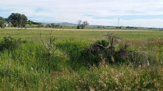 Lot 3 1250 N, Shelley, ID 83274 - photo 1