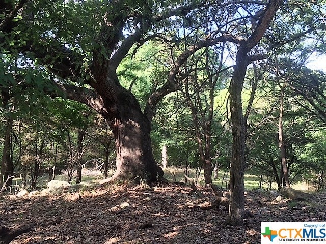 14747 Moffat Rd, Temple, TX 76502 - photo 1