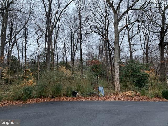 0 Sandy Ct unit MDSM2005482, Mechanicsville, MD 20659 - photo 1