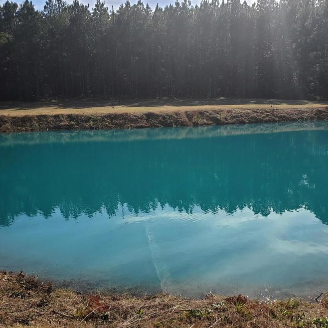 273 Horseshoe Cir, Thomasville, GA 31757 - photo 1