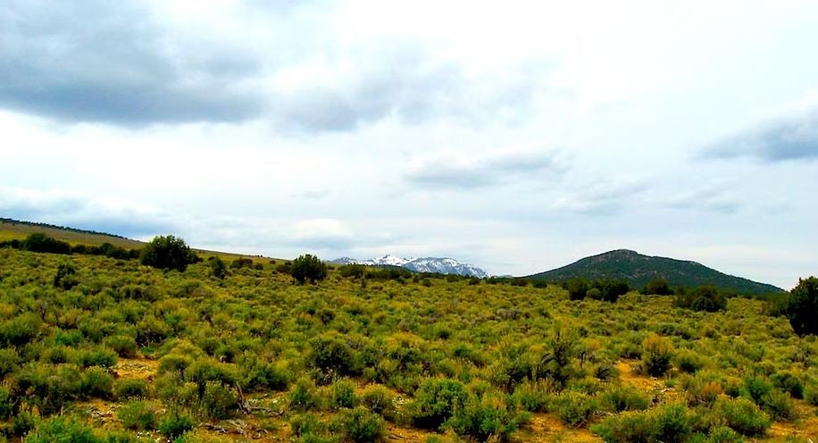 Nv 399, Lovelock, NV 89419 - photo 1