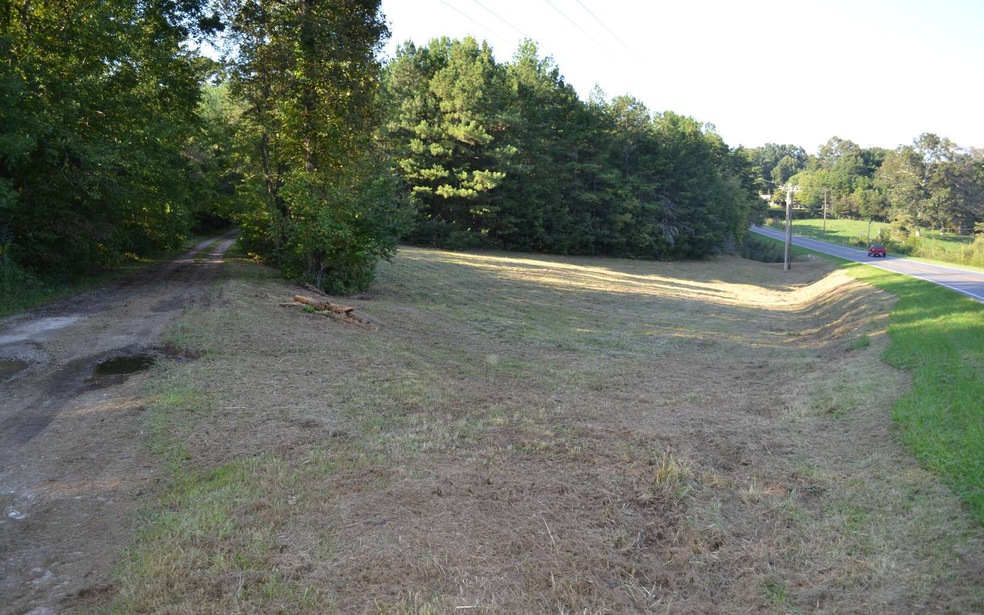 Main View