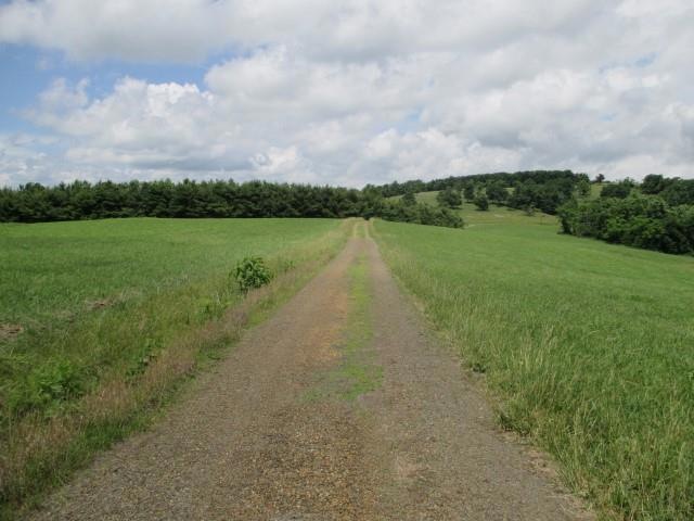 Main View