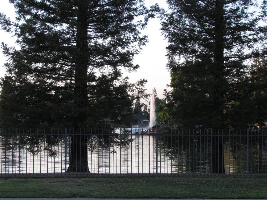 Imagine Beautiful Woodward Lake view fro