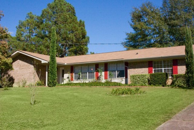 Main View