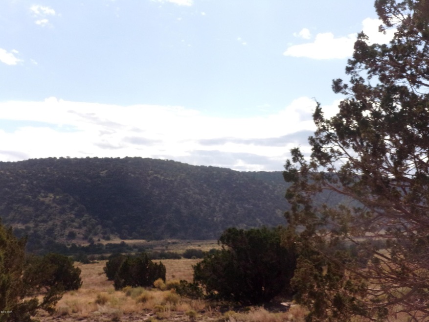 Road View